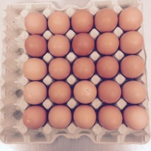 Eierkarton